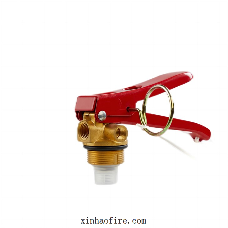 6kg Dry Chemical Extinguisher Vavle