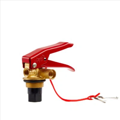 Vavle d'extintor d'1 kg